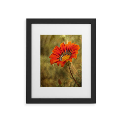 Barbara Sherman Orange Glory Framed Art Print