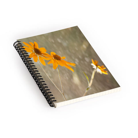 Barbara Sherman Rainy Day Spiral Notebook