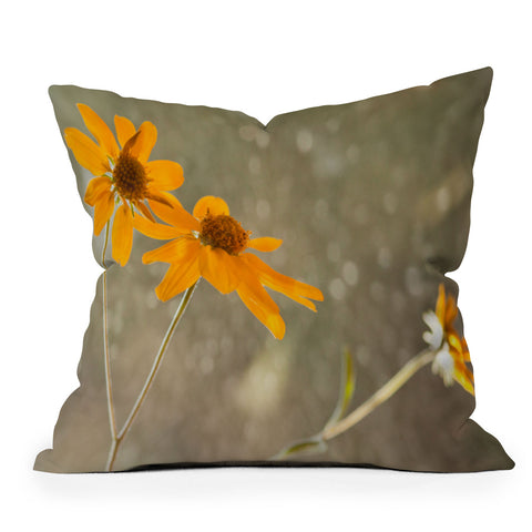 Barbara Sherman Rainy Day Throw Pillow