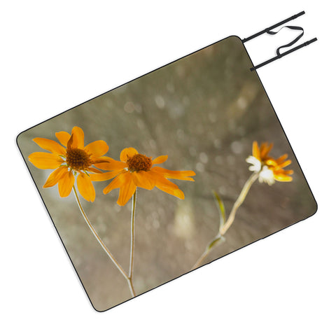 Barbara Sherman Rainy Day Picnic Blanket