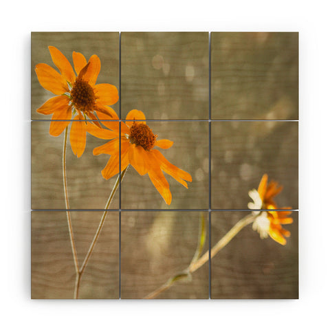 Barbara Sherman Rainy Day Wood Wall Mural