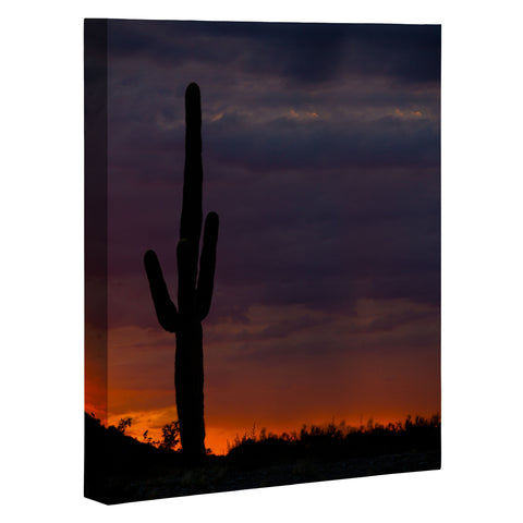Barbara Sherman Saguaro Sunset Art Canvas