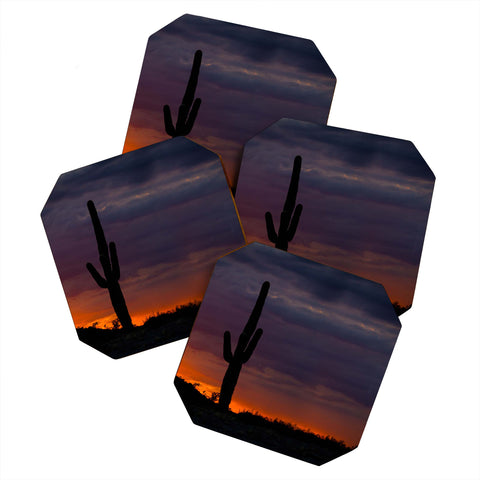 Barbara Sherman Saguaro Sunset Coaster Set