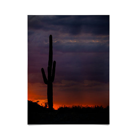 Barbara Sherman Saguaro Sunset Poster