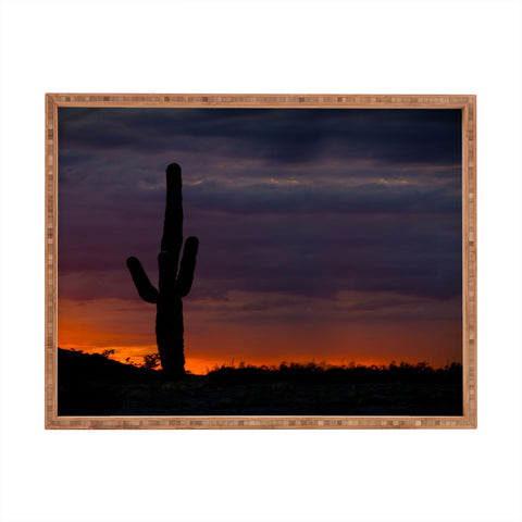 Barbara Sherman Saguaro Sunset Rectangular Tray