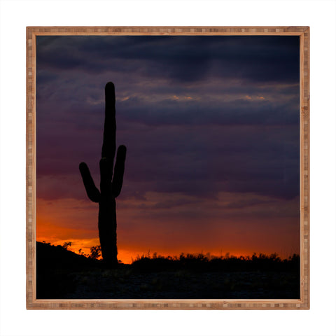 Barbara Sherman Saguaro Sunset Square Tray