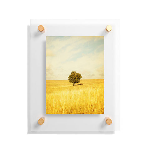 Barbara Sherman Solitary Floating Acrylic Print