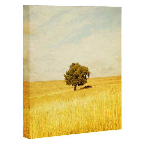 Barbara Sherman Solitary Art Canvas