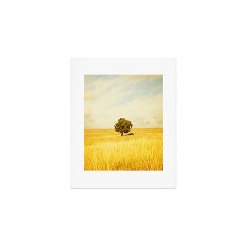 Barbara Sherman Solitary Art Print