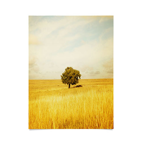 Barbara Sherman Solitary Poster