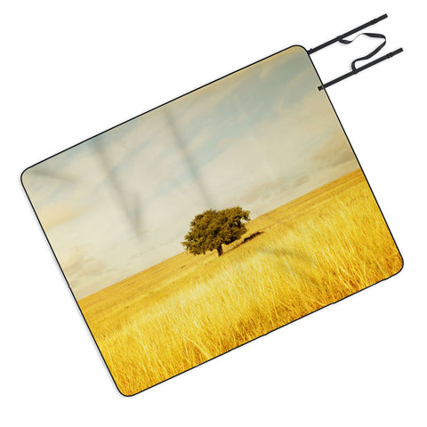 Barbara Sherman Solitary Picnic Blanket