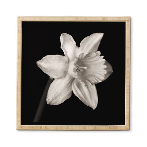 Barbara Sherman Spring Beauty Framed Wall Art