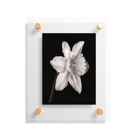 Barbara Sherman Spring Beauty Floating Acrylic Print