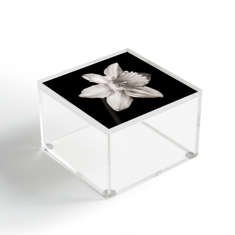 Barbara Sherman Spring Beauty Acrylic Box