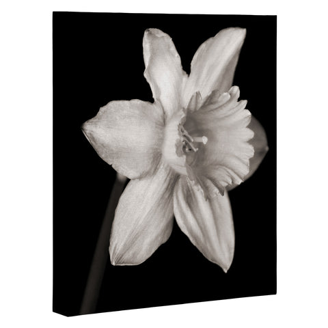 Barbara Sherman Spring Beauty Art Canvas