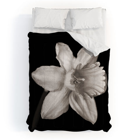 Barbara Sherman Spring Beauty Comforter
