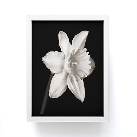 Barbara Sherman Spring Beauty Framed Mini Art Print