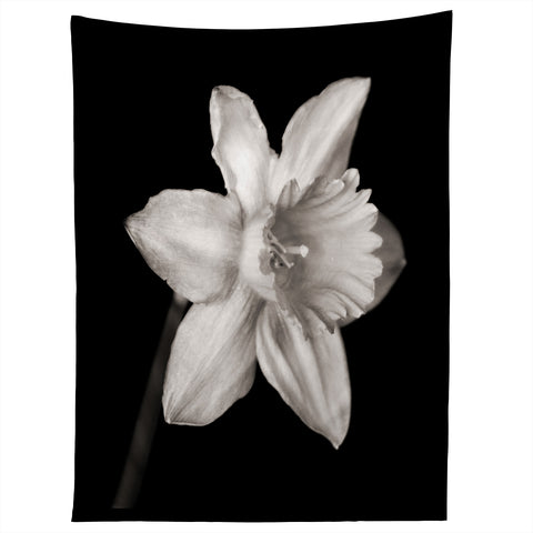 Barbara Sherman Spring Beauty Tapestry