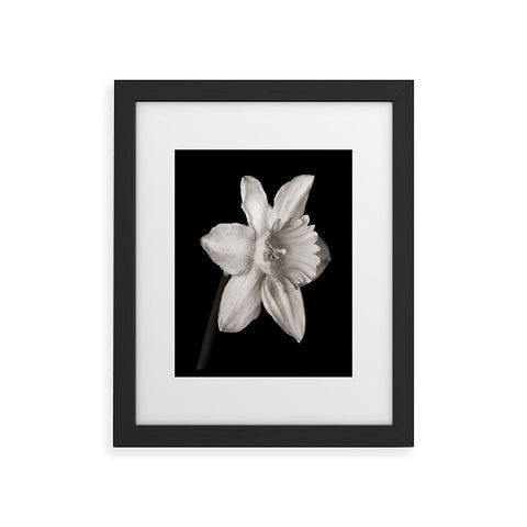 Barbara Sherman Spring Beauty Framed Art Print