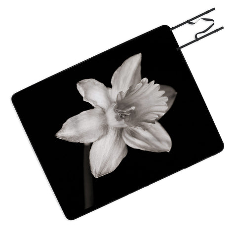 Barbara Sherman Spring Beauty Picnic Blanket