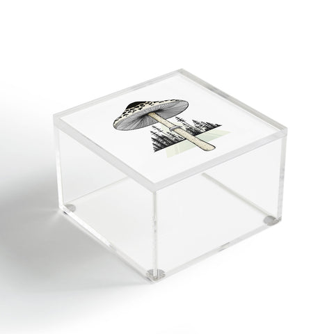 Barlena Growth Acrylic Box