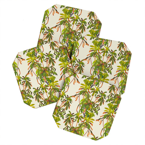 Becky Bailey Rhododendron Plant Pattern Coaster Set