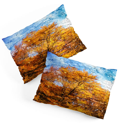 Belle13 An Autumn Day Pillow Shams
