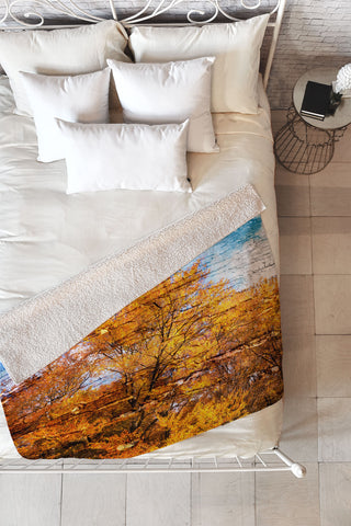 Belle13 An Autumn Day Fleece Throw Blanket