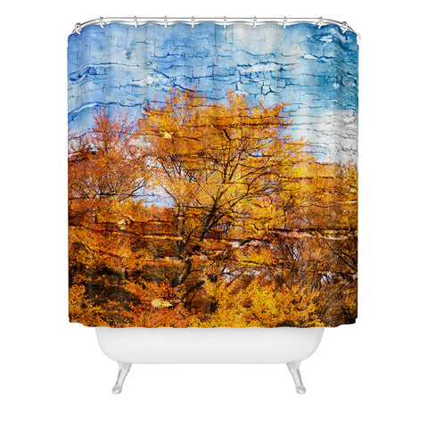 Belle13 An Autumn Day Shower Curtain
