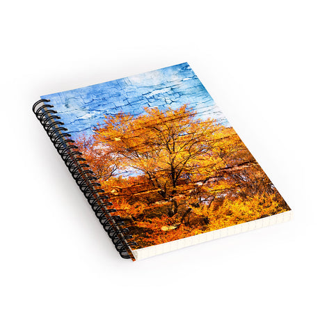 Belle13 An Autumn Day Spiral Notebook