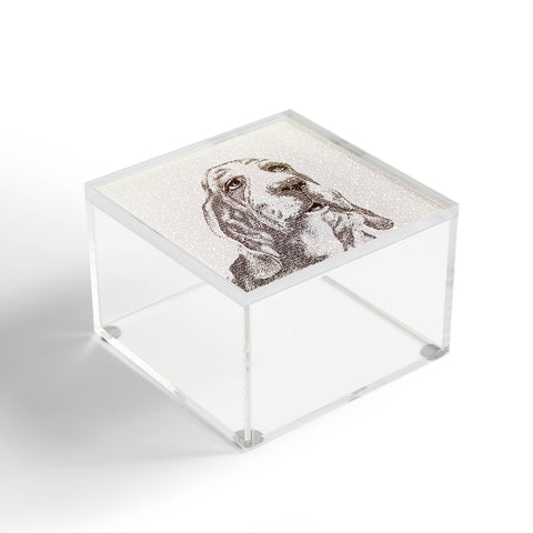 Belle13 Basset Hound Acrylic Box