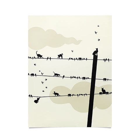 Belle13 Cats And Birds On Wires Poster