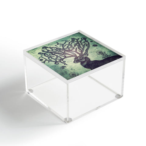 Belle13 Spirit Of The Sea Acrylic Box