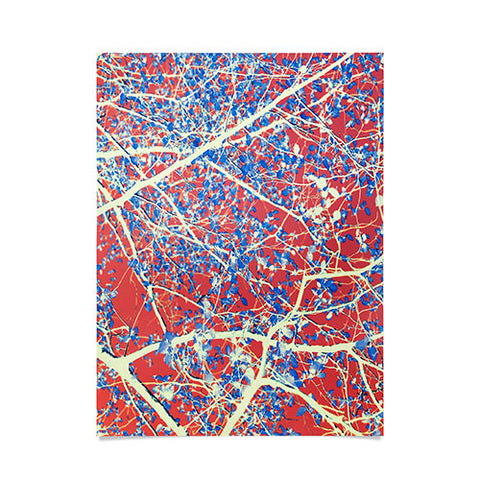 Belle13 Spring Abstract Poster