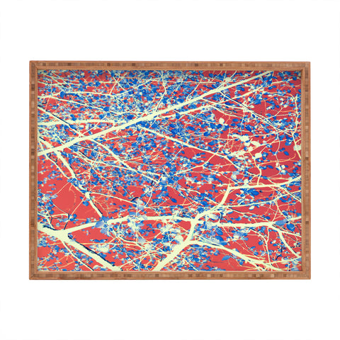 Belle13 Spring Abstract Rectangular Tray