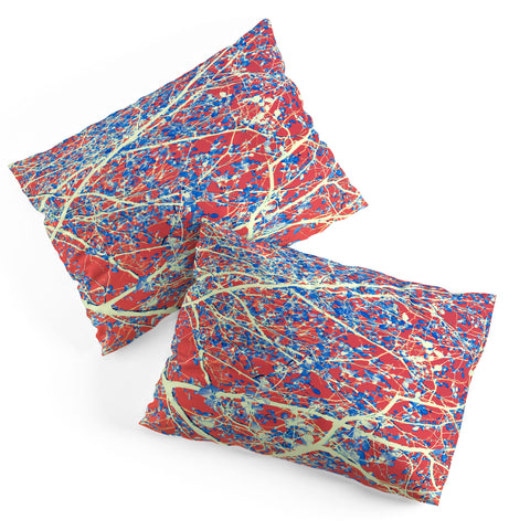 Belle13 Spring Abstract Pillow Shams