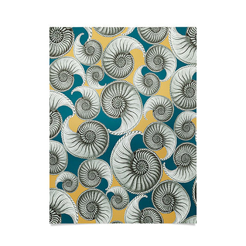 Belle13 Summertime Shells Poster