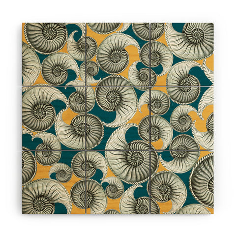 Belle13 Summertime Shells Wood Wall Mural