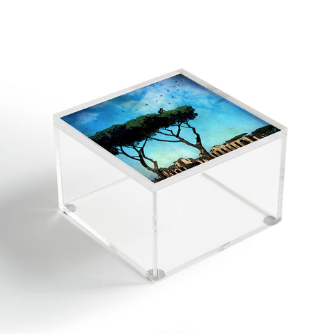Belle13 The Cat King Of Rome Acrylic Box