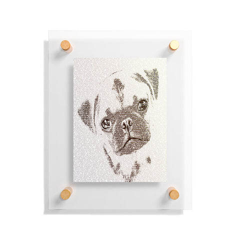 Belle13 The Intellectual Pug Floating Acrylic Print