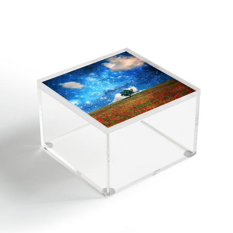 Belle13 The Magical Night Day Acrylic Box