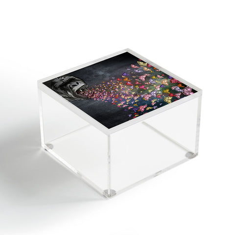 Belle13 The Roar Acrylic Box