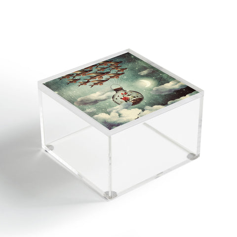 Belle13 The Rose That Wanted To See The World Acrylic Box