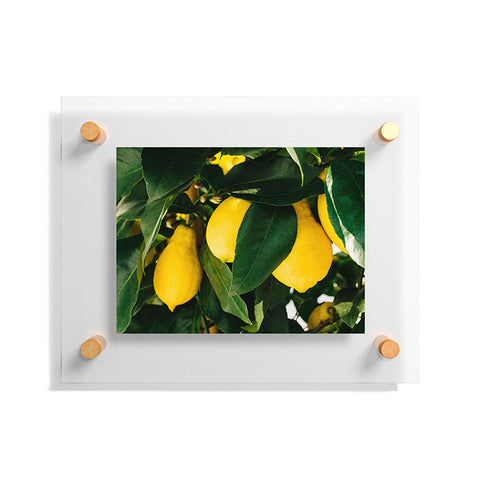 Bethany Young Photography Amalfi Coast Lemons Floating Acrylic Print