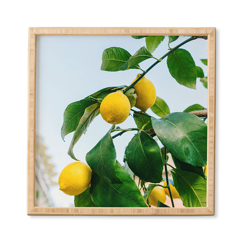 Bethany Young Photography Amalfi Coast Lemons III Framed Wall Art