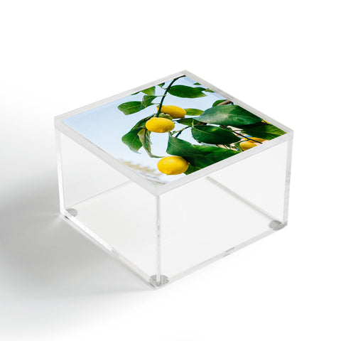 Bethany Young Photography Amalfi Coast Lemons III Acrylic Box