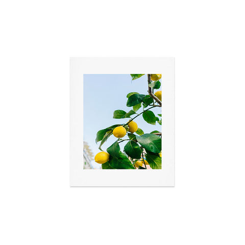Bethany Young Photography Amalfi Coast Lemons III Art Print