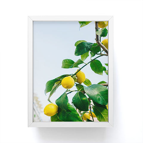 Bethany Young Photography Amalfi Coast Lemons III Framed Mini Art Print