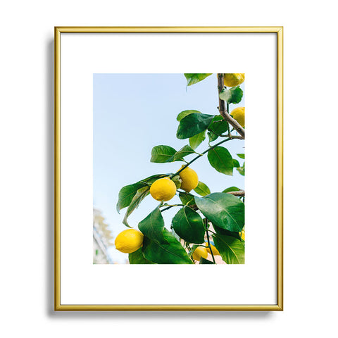 Bethany Young Photography Amalfi Coast Lemons III Metal Framed Art Print