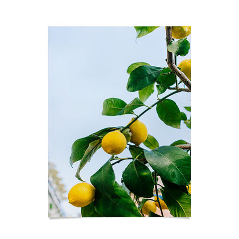 Bethany Young Photography Amalfi Coast Lemons III Poster